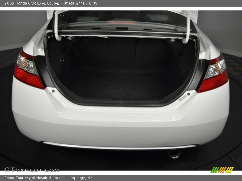 Taffeta White / Gray 2009 Honda Civic EX-L Coupe