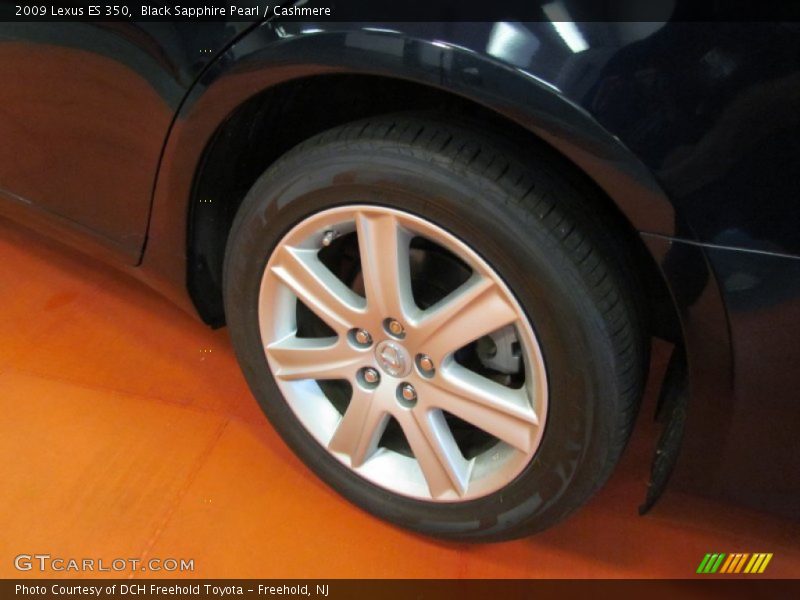 Black Sapphire Pearl / Cashmere 2009 Lexus ES 350