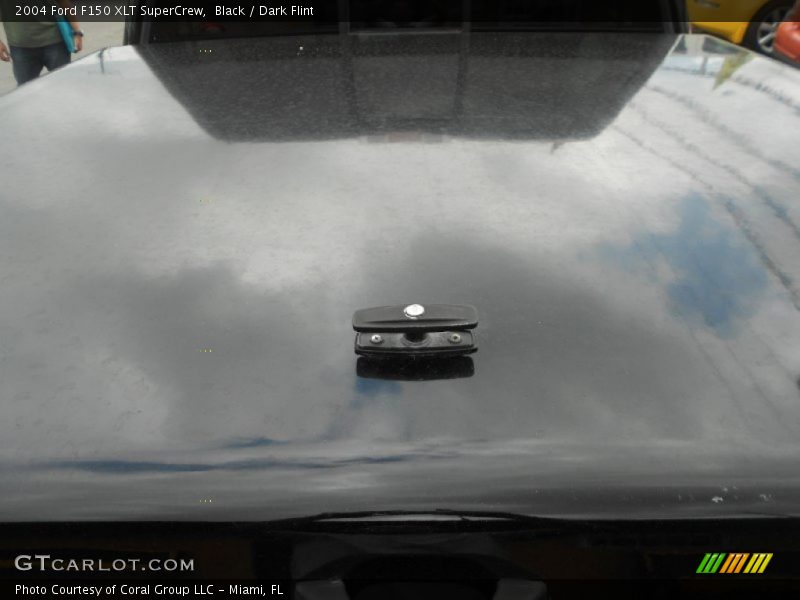 Black / Dark Flint 2004 Ford F150 XLT SuperCrew
