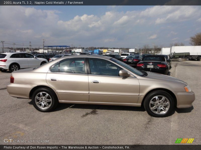 Naples Gold Metallic / Parchment 2001 Acura TL 3.2