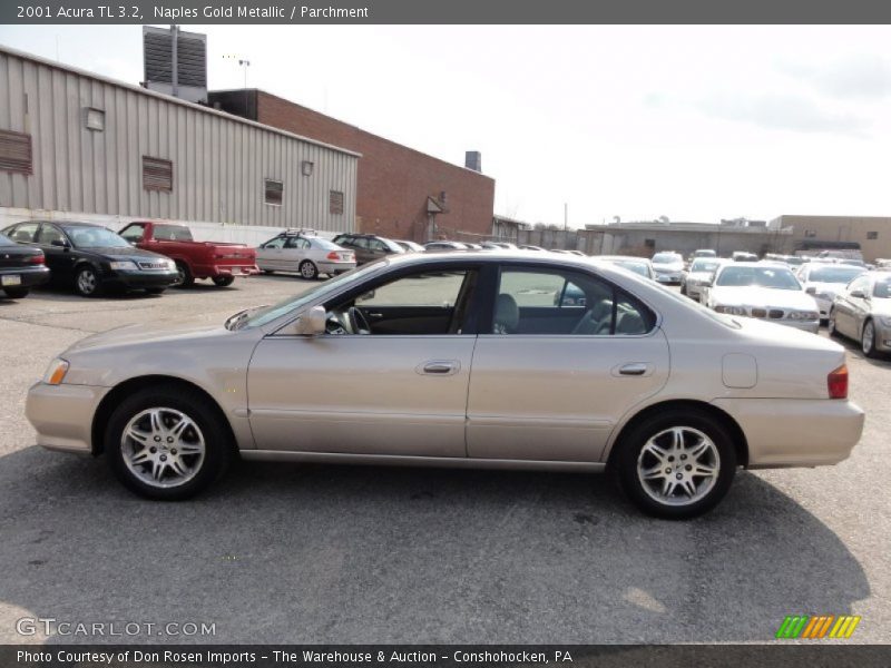 Naples Gold Metallic / Parchment 2001 Acura TL 3.2