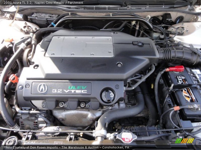 Naples Gold Metallic / Parchment 2001 Acura TL 3.2