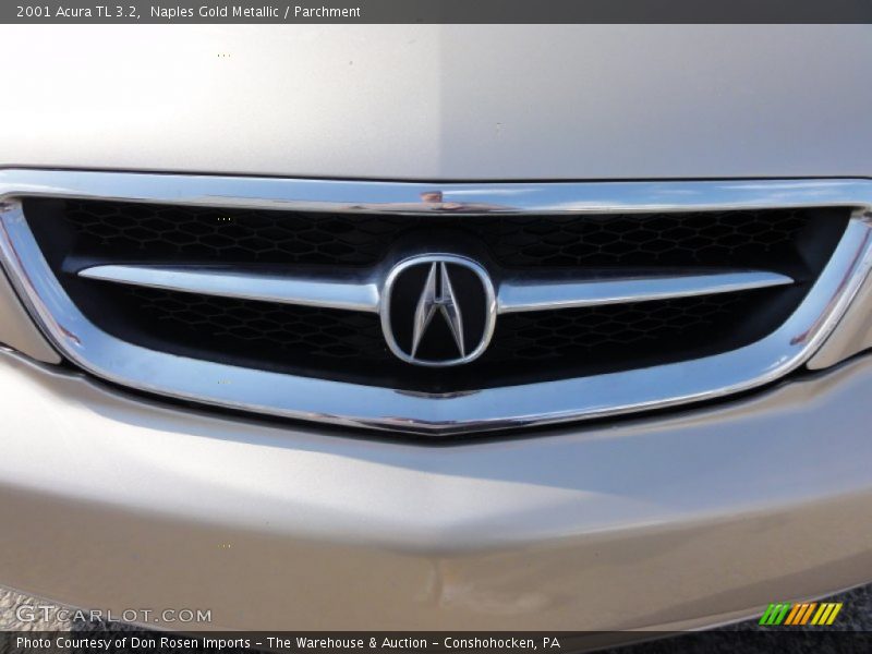 Naples Gold Metallic / Parchment 2001 Acura TL 3.2