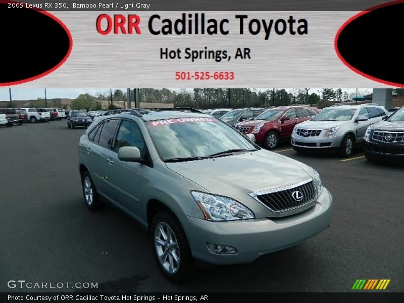 Bamboo Pearl / Light Gray 2009 Lexus RX 350