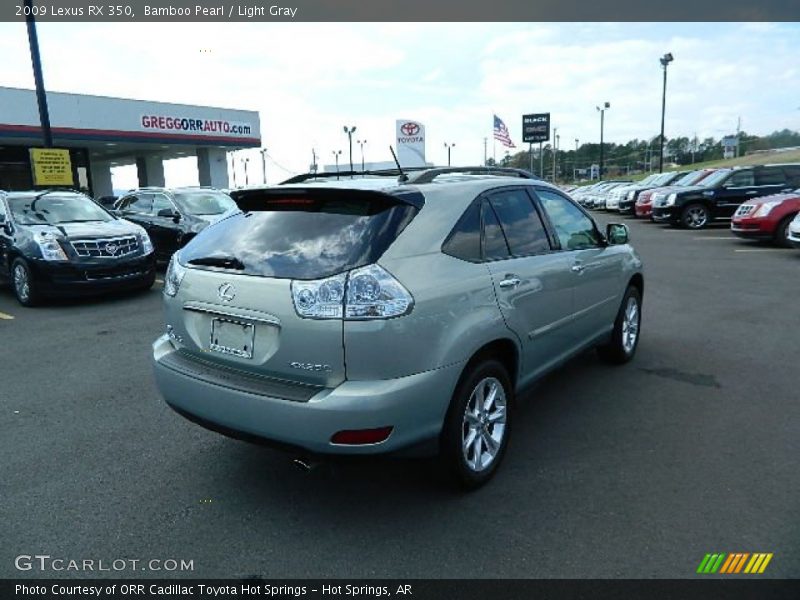 Bamboo Pearl / Light Gray 2009 Lexus RX 350