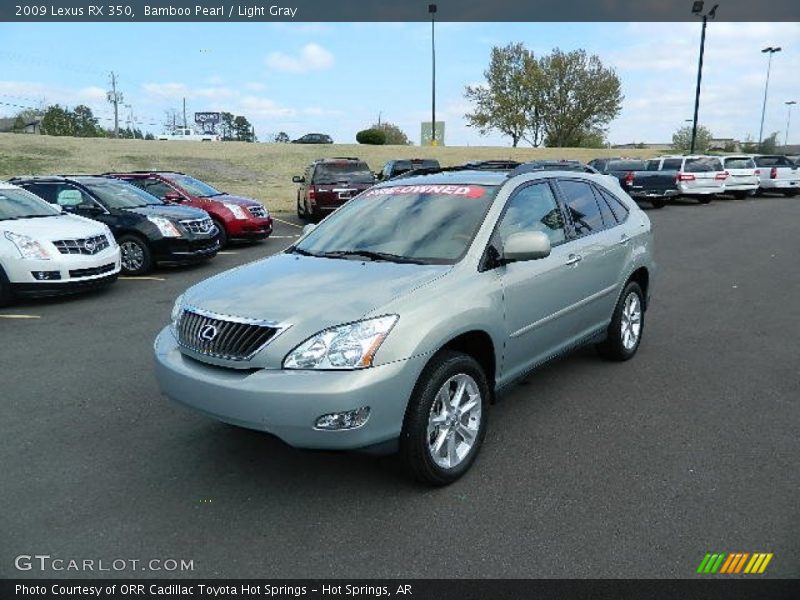 Bamboo Pearl / Light Gray 2009 Lexus RX 350