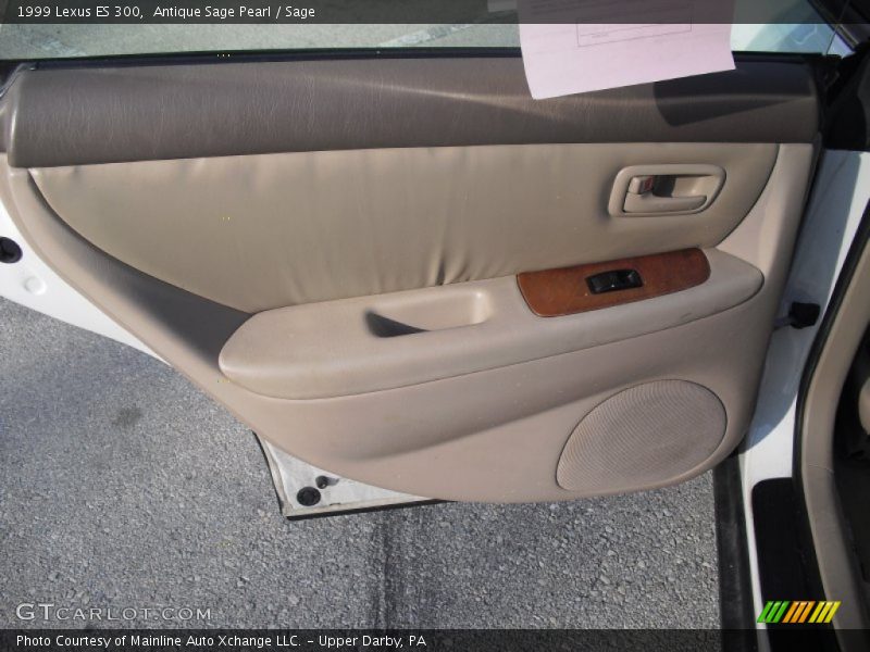 Antique Sage Pearl / Sage 1999 Lexus ES 300