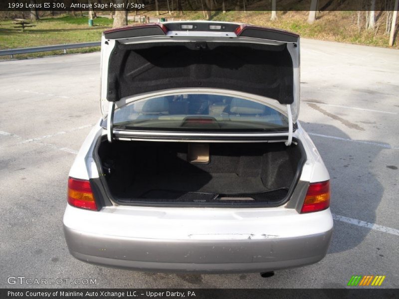 Antique Sage Pearl / Sage 1999 Lexus ES 300