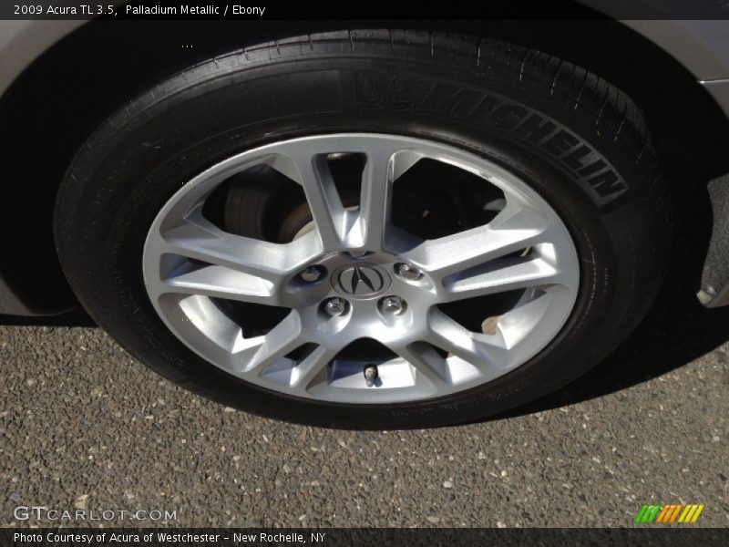 Palladium Metallic / Ebony 2009 Acura TL 3.5