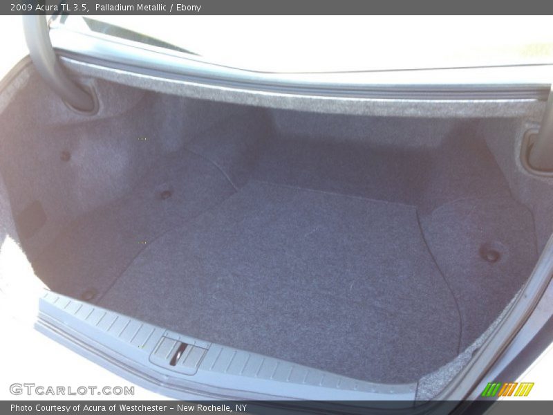 Palladium Metallic / Ebony 2009 Acura TL 3.5