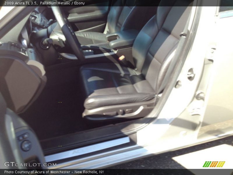 Palladium Metallic / Ebony 2009 Acura TL 3.5