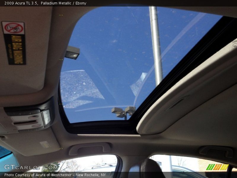 Palladium Metallic / Ebony 2009 Acura TL 3.5