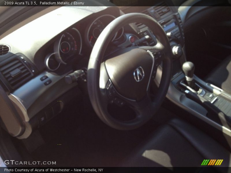 Palladium Metallic / Ebony 2009 Acura TL 3.5