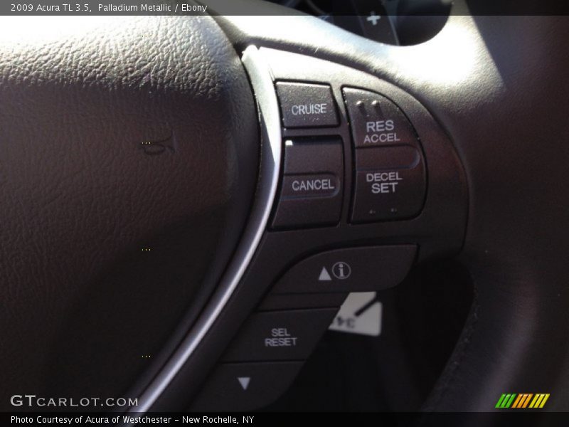 Palladium Metallic / Ebony 2009 Acura TL 3.5