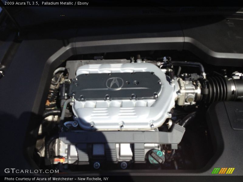 Palladium Metallic / Ebony 2009 Acura TL 3.5