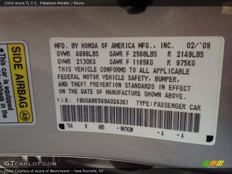 2009 TL 3.5 Palladium Metallic Color Code NH743M