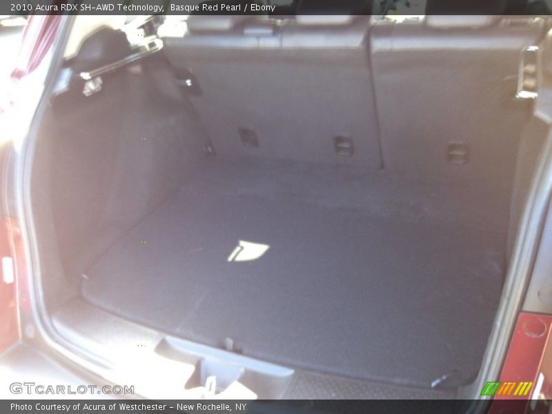 Basque Red Pearl / Ebony 2010 Acura RDX SH-AWD Technology