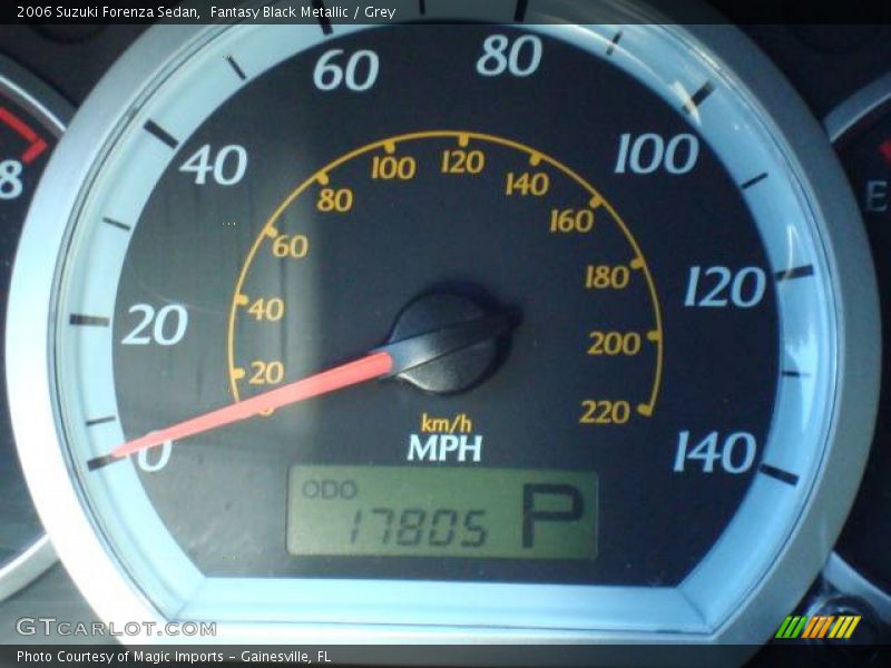 Fantasy Black Metallic / Grey 2006 Suzuki Forenza Sedan