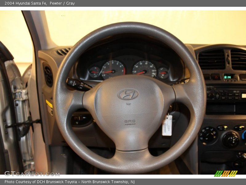 Pewter / Gray 2004 Hyundai Santa Fe
