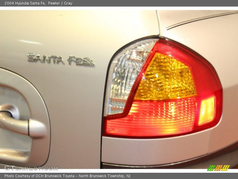 Pewter / Gray 2004 Hyundai Santa Fe
