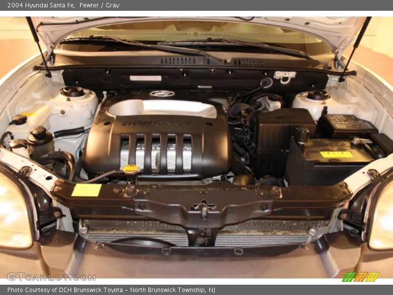 Pewter / Gray 2004 Hyundai Santa Fe