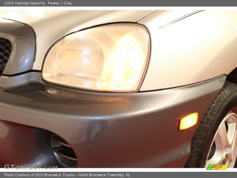 Pewter / Gray 2004 Hyundai Santa Fe