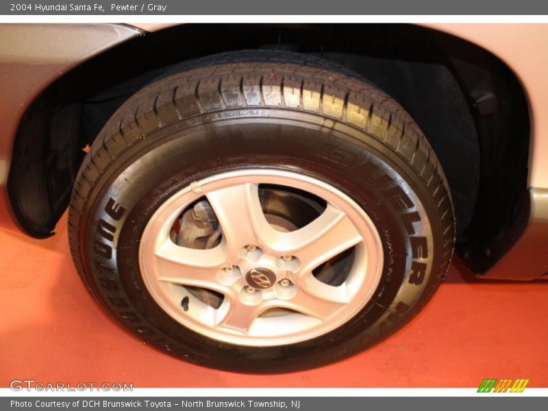 Pewter / Gray 2004 Hyundai Santa Fe