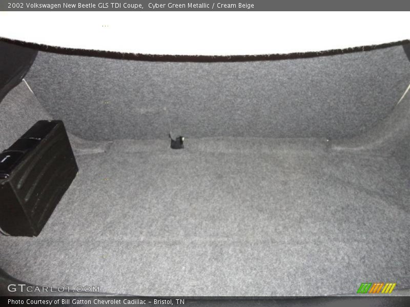 Cyber Green Metallic / Cream Beige 2002 Volkswagen New Beetle GLS TDI Coupe