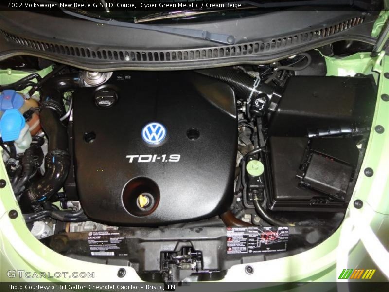 Cyber Green Metallic / Cream Beige 2002 Volkswagen New Beetle GLS TDI Coupe