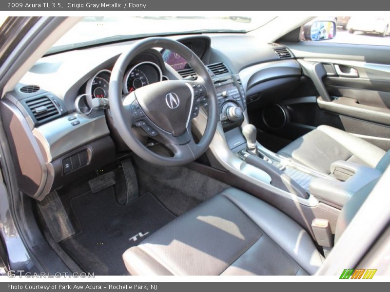 Grigio Gray Metallic / Ebony 2009 Acura TL 3.5