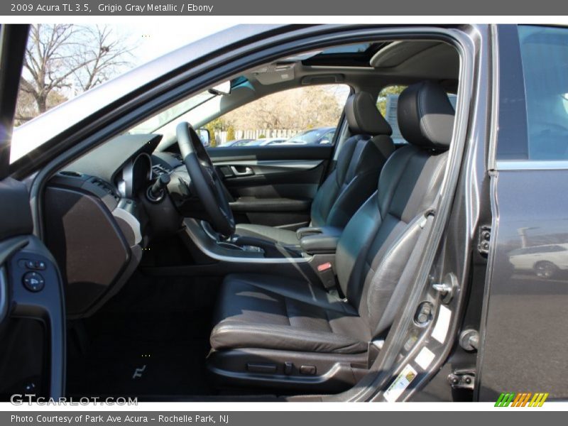 Grigio Gray Metallic / Ebony 2009 Acura TL 3.5