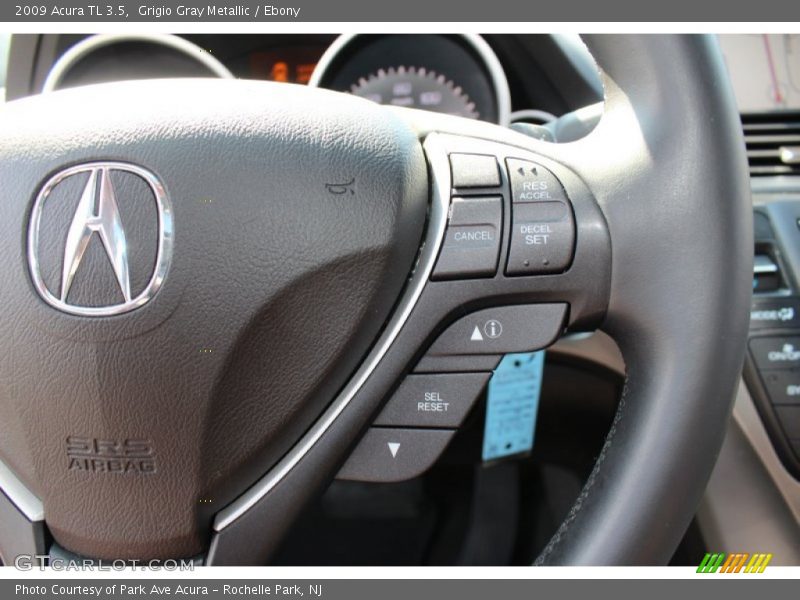 Grigio Gray Metallic / Ebony 2009 Acura TL 3.5
