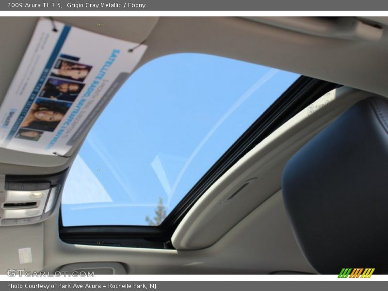 Grigio Gray Metallic / Ebony 2009 Acura TL 3.5