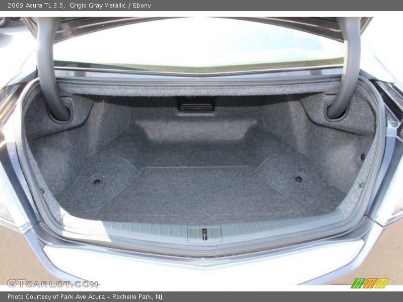 Grigio Gray Metallic / Ebony 2009 Acura TL 3.5