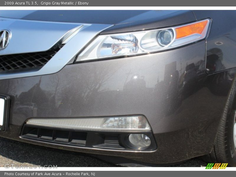 Grigio Gray Metallic / Ebony 2009 Acura TL 3.5