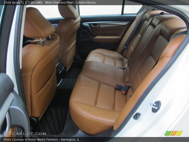 Rear Seat of 2009 TL 3.7 SH-AWD