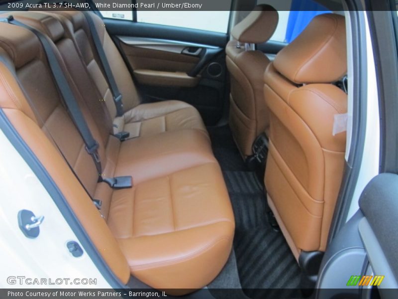 Rear Seat of 2009 TL 3.7 SH-AWD