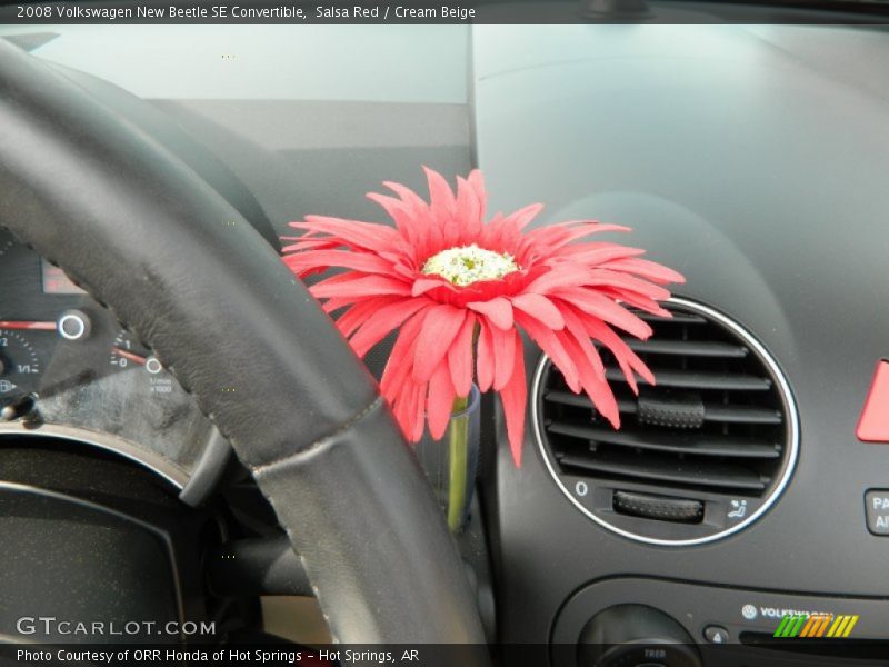 Salsa Red / Cream Beige 2008 Volkswagen New Beetle SE Convertible