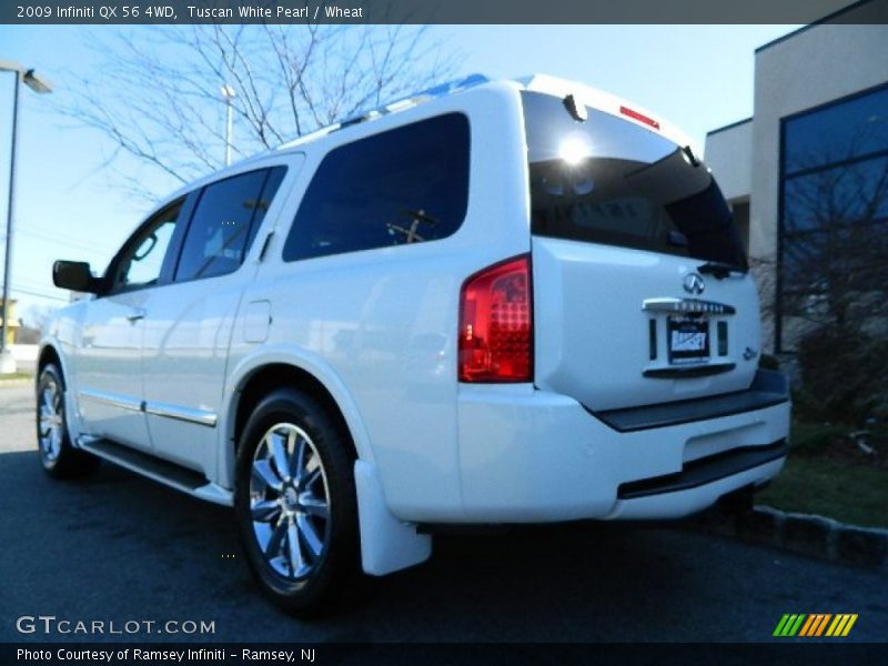 Tuscan White Pearl / Wheat 2009 Infiniti QX 56 4WD