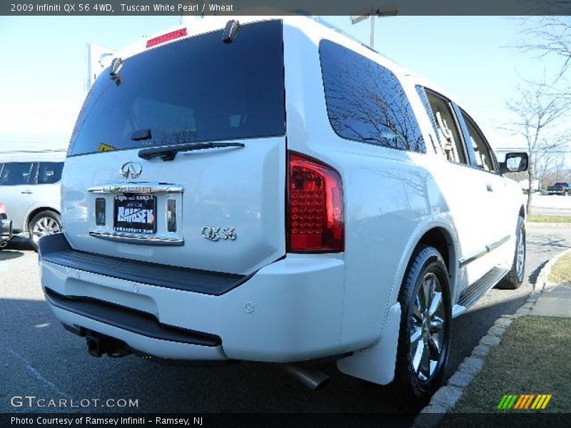 Tuscan White Pearl / Wheat 2009 Infiniti QX 56 4WD
