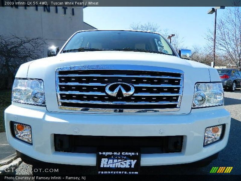 Tuscan White Pearl / Wheat 2009 Infiniti QX 56 4WD