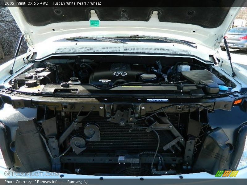 Tuscan White Pearl / Wheat 2009 Infiniti QX 56 4WD