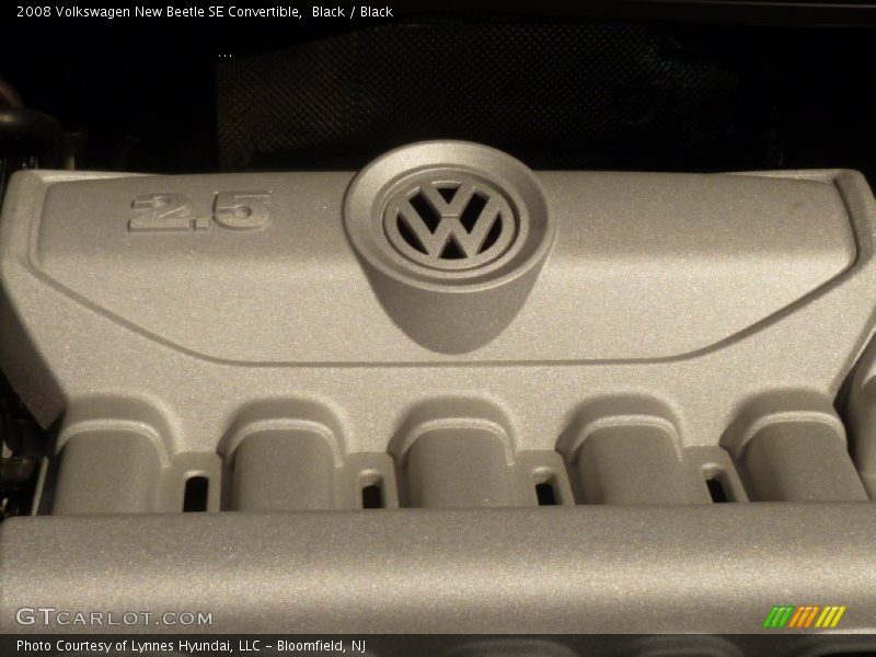 Black / Black 2008 Volkswagen New Beetle SE Convertible