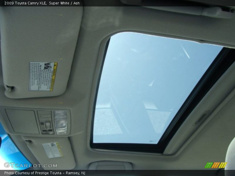 Super White / Ash 2009 Toyota Camry XLE