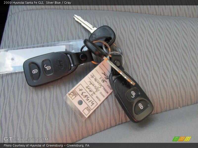 Silver Blue / Gray 2009 Hyundai Santa Fe GLS