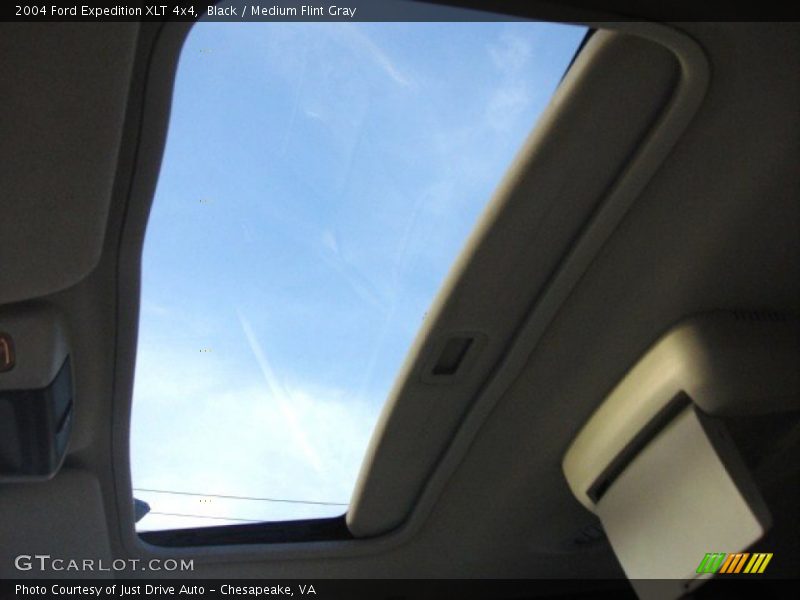 Black / Medium Flint Gray 2004 Ford Expedition XLT 4x4