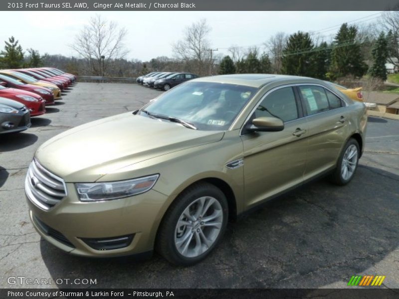 Ginger Ale Metallic / Charcoal Black 2013 Ford Taurus SEL AWD