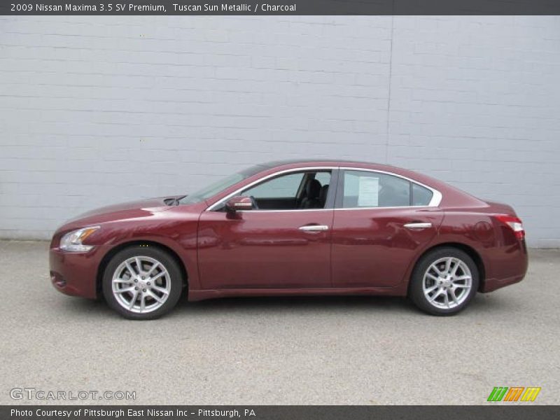 Tuscan Sun Metallic / Charcoal 2009 Nissan Maxima 3.5 SV Premium