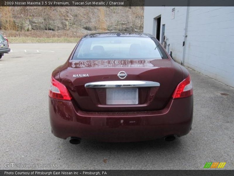 Tuscan Sun Metallic / Charcoal 2009 Nissan Maxima 3.5 SV Premium