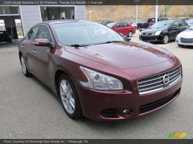Tuscan Sun Metallic / Charcoal 2009 Nissan Maxima 3.5 SV Premium